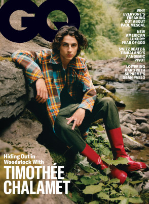 Timothée Chalamet by Renell Medrano for GQ Magazine (2020)