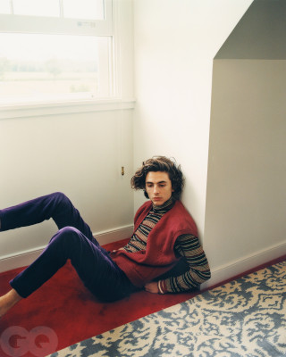 Timothée Chalamet by Renell Medrano for GQ Magazine (2020)