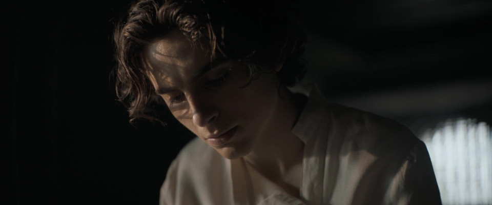 Timothée Chalamet - Dune: Part One (2021)