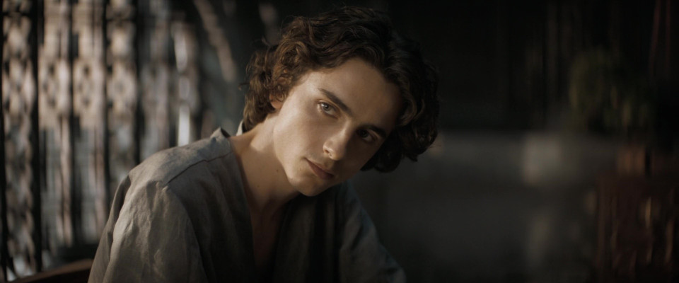 Timothée Chalamet - Dune: Part One (2021) 
