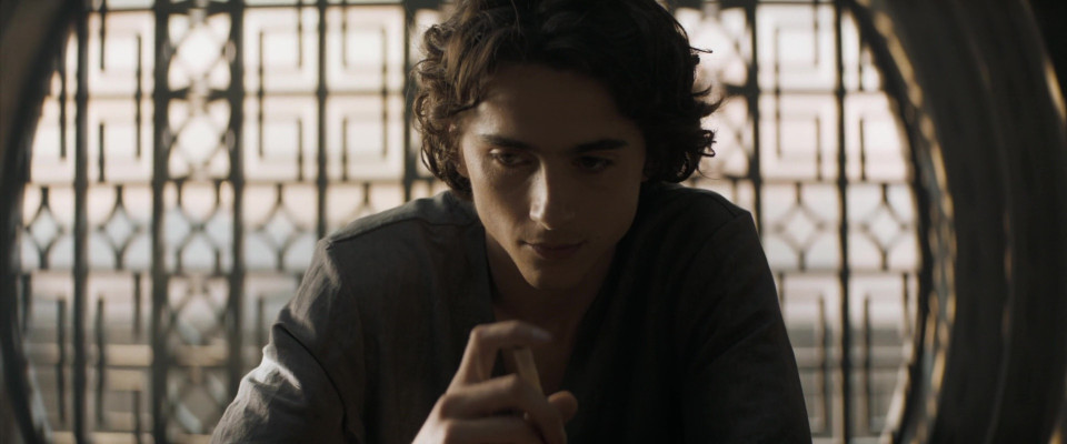 Timothée Chalamet - Dune: Part One (2021)
