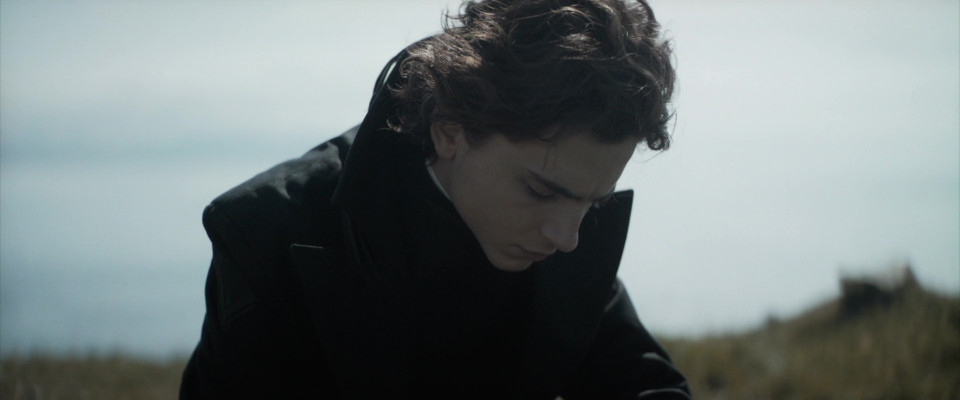 Timothée Chalamet - Dune: Part One (2021)
