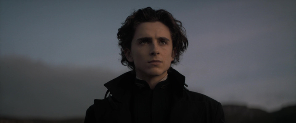 Timothée Chalamet - Dune: Part One (2021) 