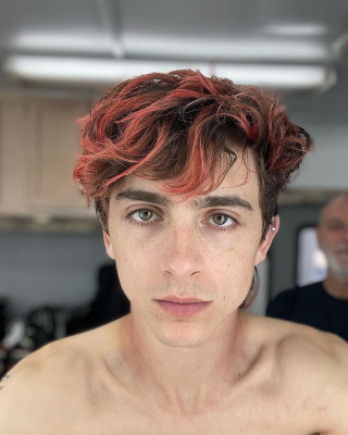 Timothée Chalamet - Bones &amp;amp; All (2022)