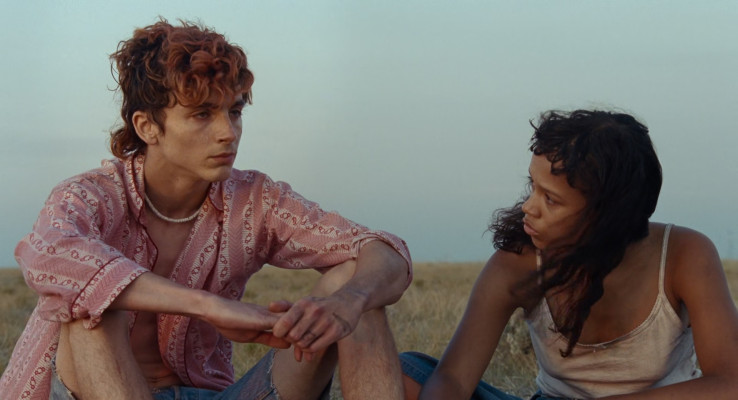 Timothée Chalamet - Bones and All (2022)