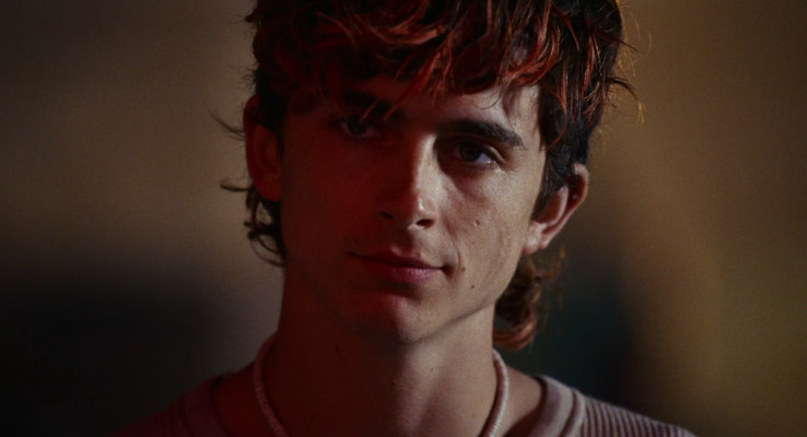Timothée Chalamet - Bones and All (2022)