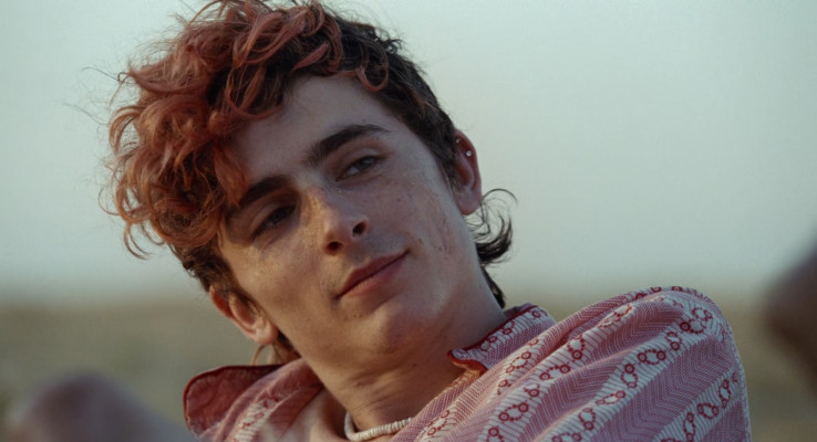 Timothée Chalamet - Bones and All (2022)