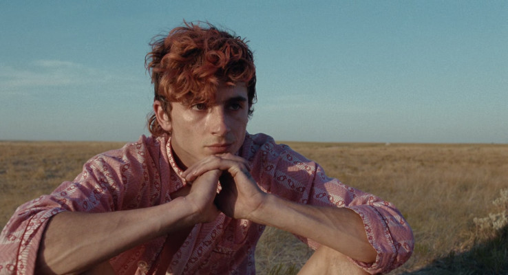 Timothée Chalamet - Bones &amp;amp; All (2022)
