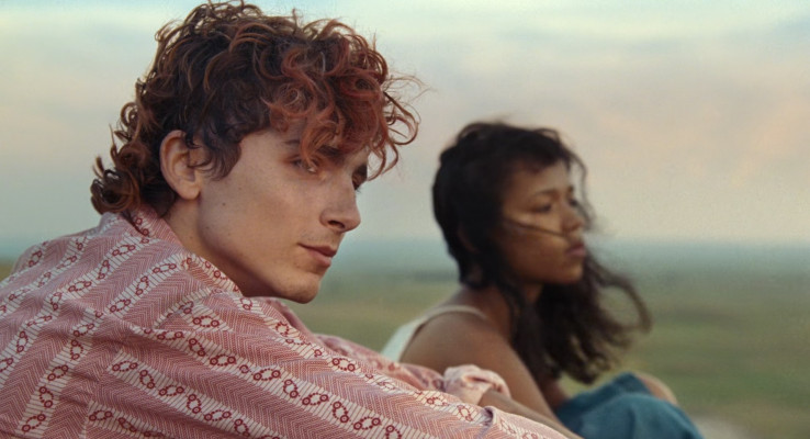 Timothée Chalamet - Bones &amp;amp; All (2022)