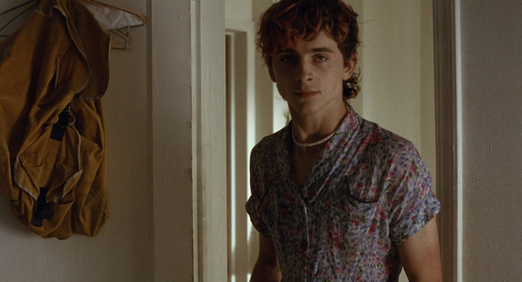 Timothée Chalamet - Bones &amp;amp; All (2022)