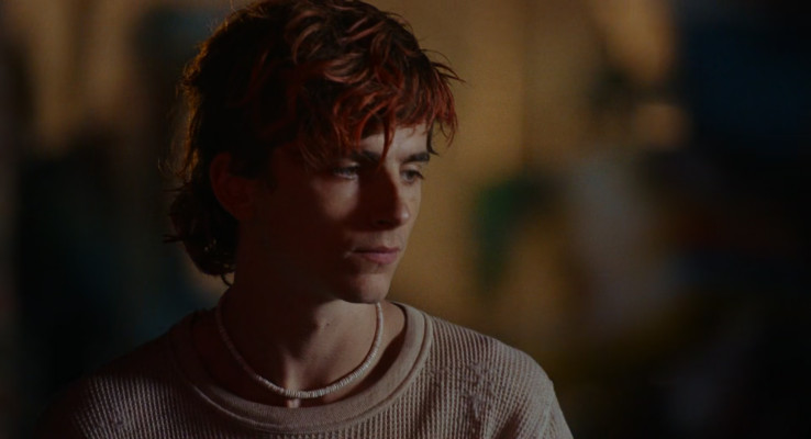Timothée Chalamet - Bones and All (2022)