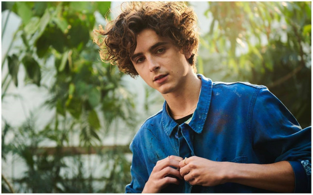 Timothée Chalamet by Jason Hetherington for Apple TV+ (2023)