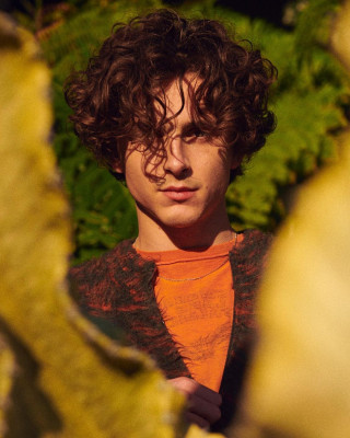 Timothée Chalamet by Jason Hetherington for Apple TV+ (2023)