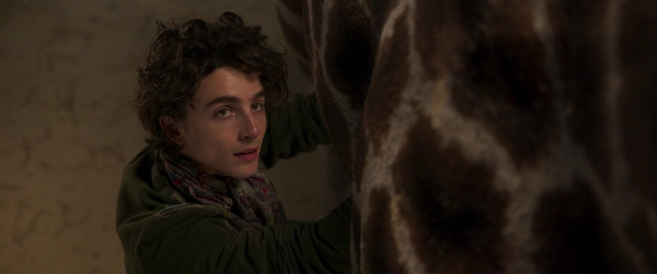 Timothée Chalamet - Wonka (2023)