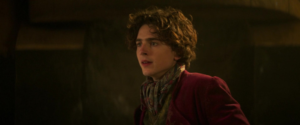Timothée Chalamet - Wonka (2023)