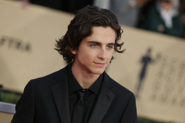 Timothée Chalamet - 24th Annual SAG Awards in Los Angeles 01/21/2018