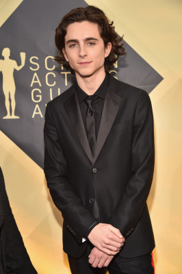Timothée Chalamet - 24th Annual SAG Awards in Los Angeles 01/21/2018