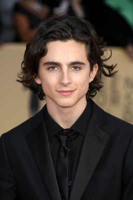 Timothée Chalamet - 24th Annual SAG Awards in Los Angeles 01/21/2018