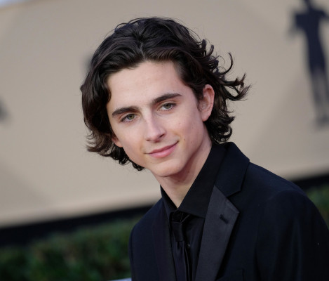 Timothée Chalamet - 24th Annual SAG Awards in Los Angeles 01/21/2018