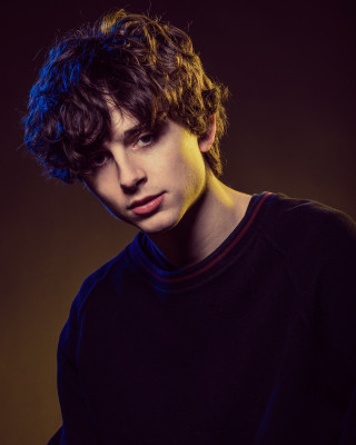 Timothée Chalamet by Justin Bishop for Vanity Fair at SFF in Park City 01/23/17