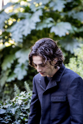 Timothée Chalamet - &#039;Call Me by Your Name&#039; Rome Photocall 01/24/2018