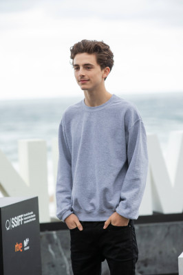 Timothée Chalamet - &#039;Beautiful Boy&#039; Photocall at 66th SSFF 09/24/2018