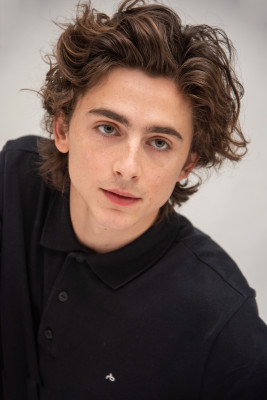 Timothée Chalamet - &#039;The King&#039; Press Conference in Beverly Hills 10/26/2019