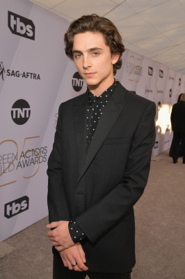 Timothée Chalamet - 25th Annual SAG Awards in Los Angeles 01/27/2019