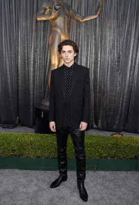 Timothée Chalamet - 25th Annual SAG Awards in Los Angeles 01/27/2019