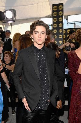 Timothée Chalamet - 25th Annual SAG Awards in Los Angeles 01/27/2019