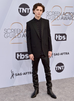 Timothée Chalamet - 25th Annual SAG Awards in Los Angeles 01/27/2019