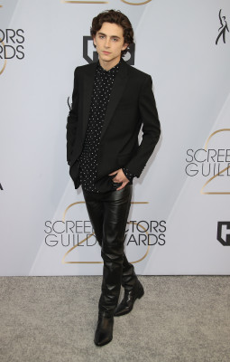 Timothée Chalamet - 25th Annual SAG Awards in Los Angeles 01/27/2019