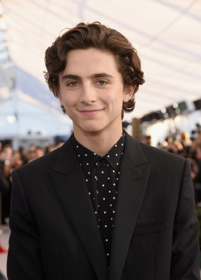 Timothée Chalamet - 25th Annual SAG Awards in Los Angeles 01/27/2019