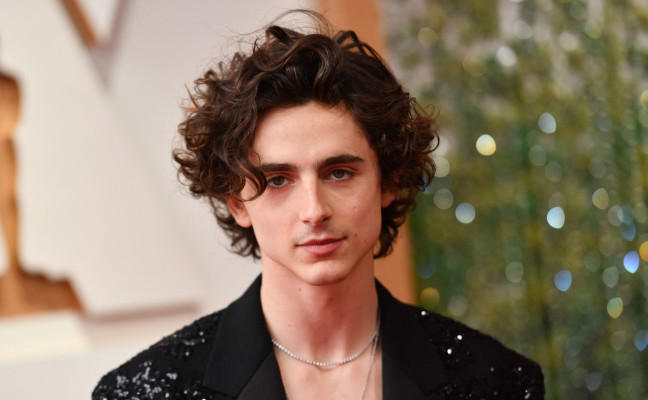 Timothée Chalamet - 94th Annual Academy Awards in Hollywood 03/27/2022