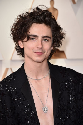 Timothée Chalamet - 94th Annual Academy Awards in Hollywood 03/27/2022