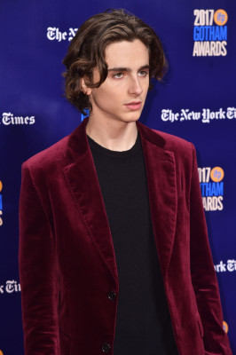 Timothée Chalamet - IFP&#039;s 27th Gotham Independent Film Awards in NY 11/27/2017