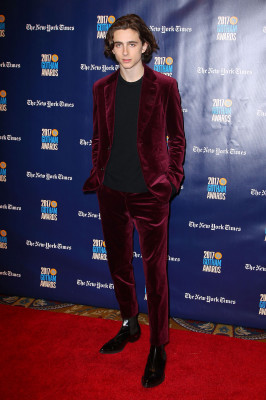 Timothée Chalamet - IFP&#039;s 27th Gotham Independent Film Awards in NY 11/27/2017