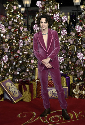 Timothée Chalamet - &#039;Wonka&#039; London Premiere 11/28/2023