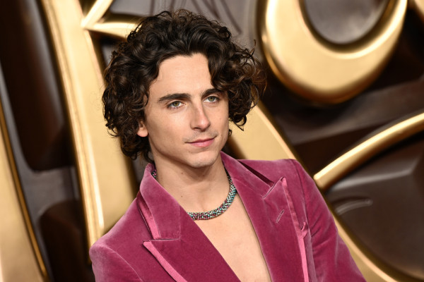 Timothée Chalamet - &#039;Wonka&#039; London Premiere 11/28/2023