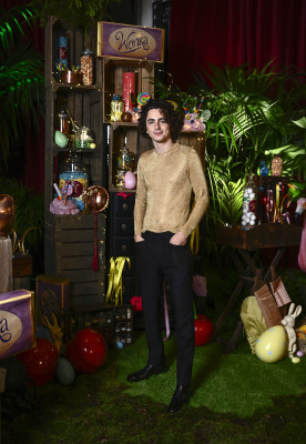 Timothée Chalamet - &#039;Wonka&#039; Cast and Filmmakers London Photocall 11/29/2023