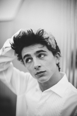 photo 15 in Timothee Chalamet gallery [id1007498] 2017-10-29 00:00:00