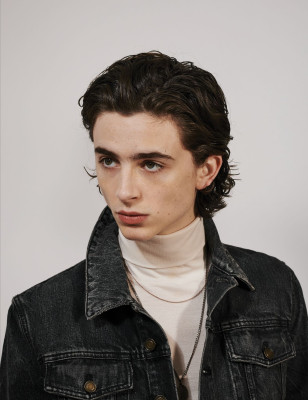Timothee Chalamet - Photoshoot by Collier Schorr for VMAN 2018