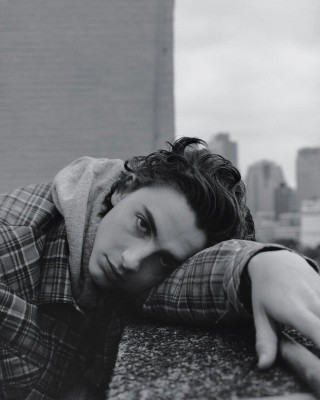 Timothee Chalamet pic #1010421