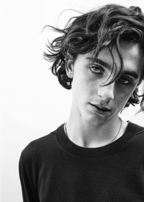 Timothee Chalamet pic #1082089