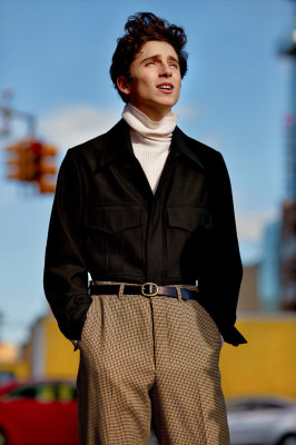 Timothee Chalamet pic #1010427