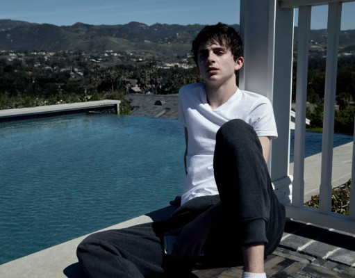 Timothee Chalamet pic #1010424