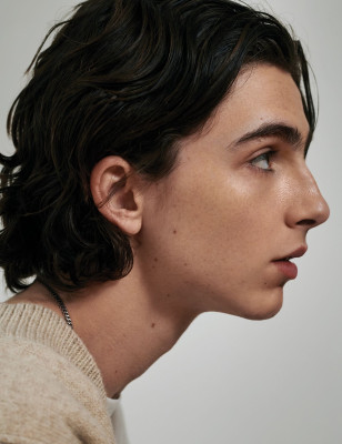 Timothee Chalamet - Photoshoot by Collier Schorr for VMAN 2018