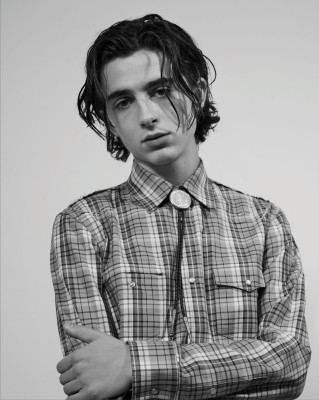 Timothee Chalamet - Photoshoot by Collier Schorr for VMAN 2018