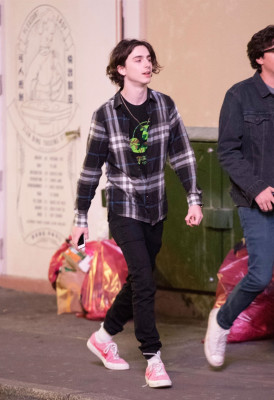 Timothee Chalamet pic #1082085