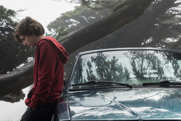 Timothée Chalamet - Beautiful Boy (2018)